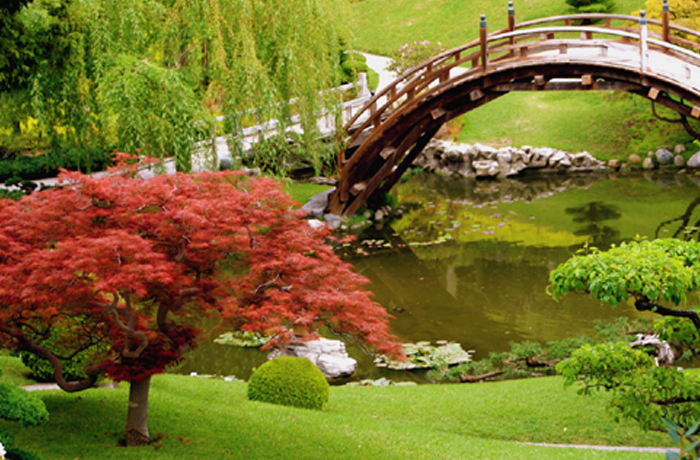 Florida Landscape drainage solutions